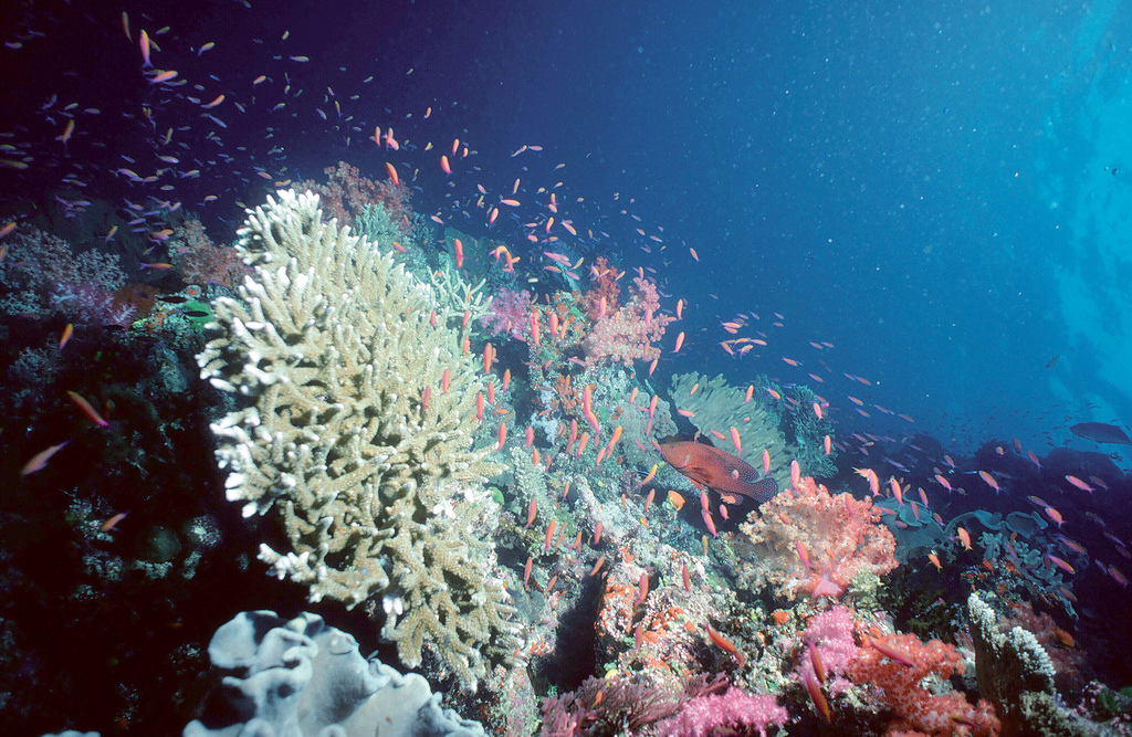 Why the oceans need to be a mainstream topic in UN climate negotiations