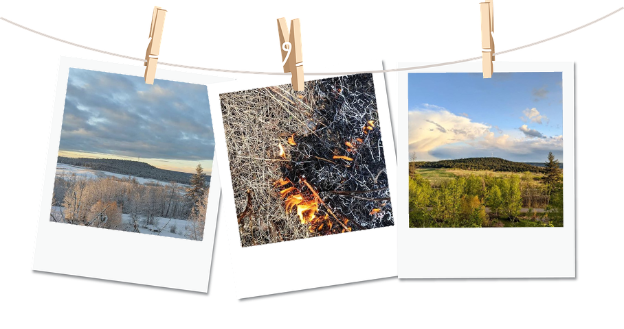 Photo essay example