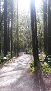 20150326_130332 (1)