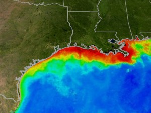Ocean dead zone in the Gulf of Mexico