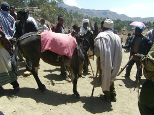 Men barter over a mule. The price will be around 3000 Birr.