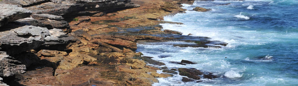 An Ecological Perspective