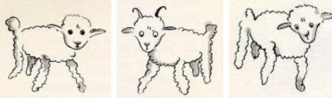 LP-sheep