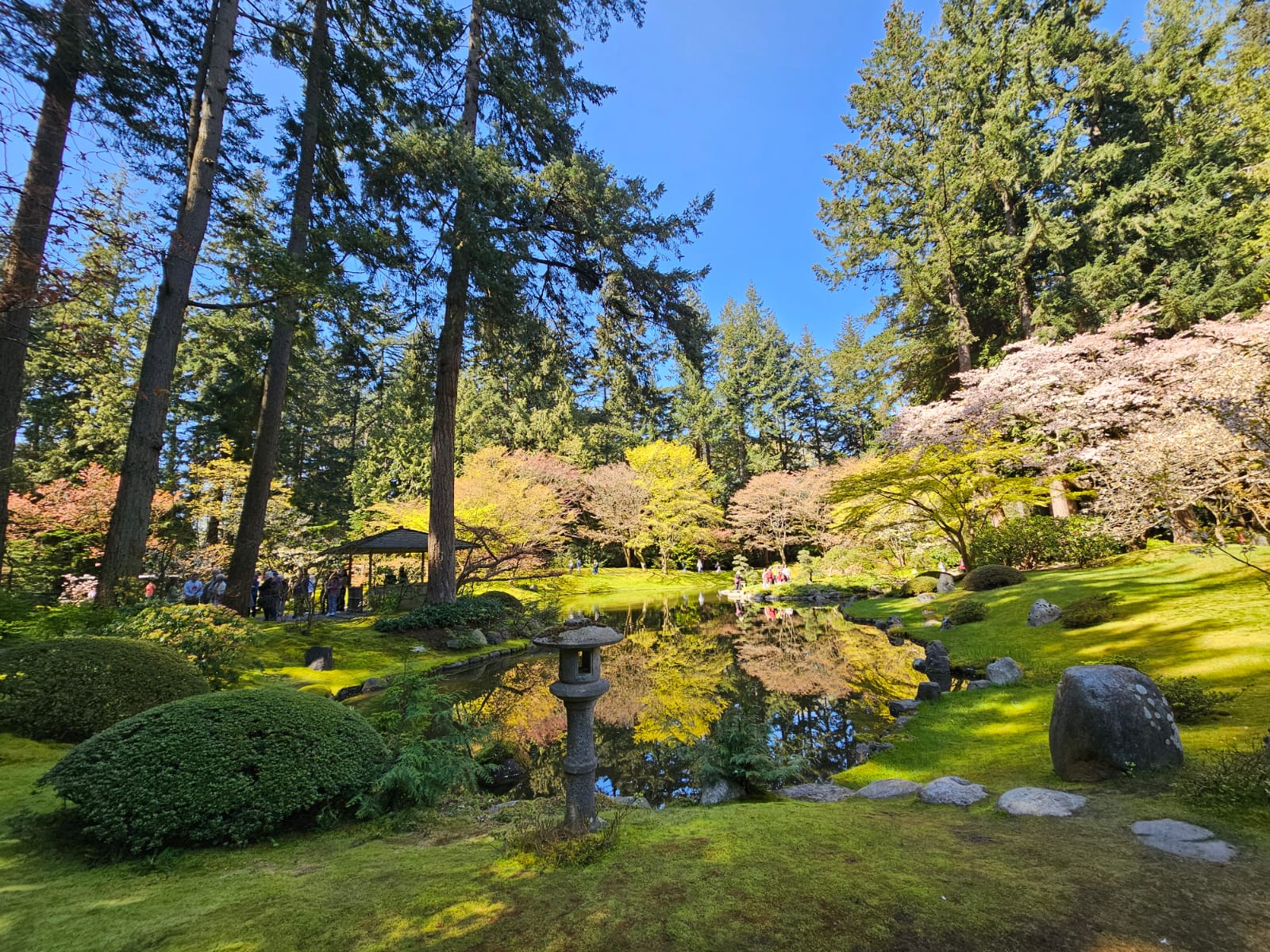 EDST Mindfulness with Mahfida: Cherry Blossom Walking Tour at Nitobe