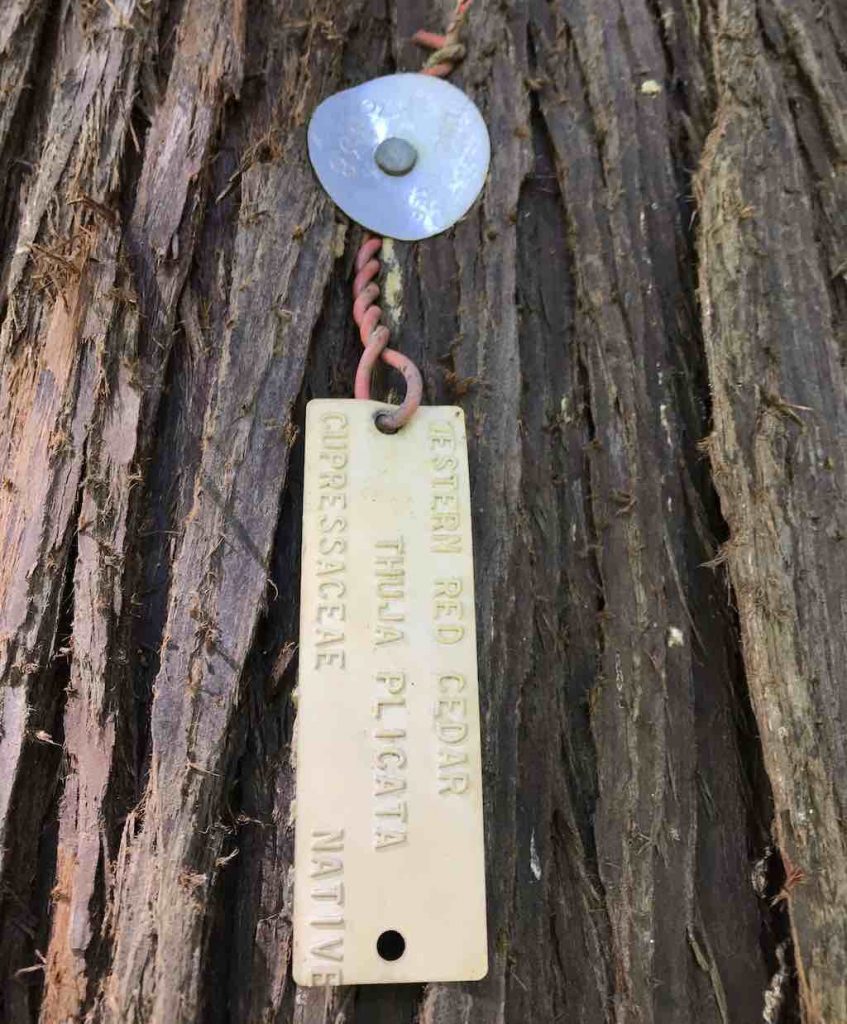 Tree tags