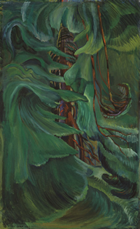 sm_emily_carr_cedar_42