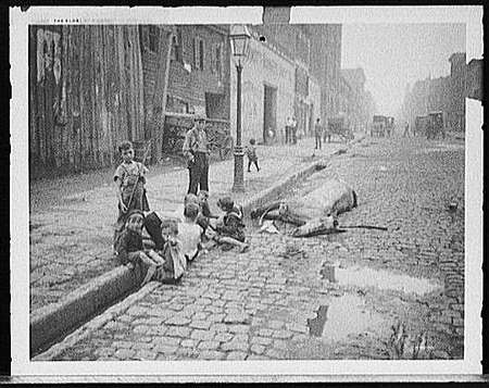 Dead horse in a gutter