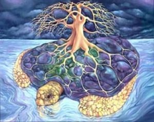 turtleisland