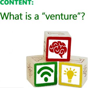 W02.4: What is a “Venture”?