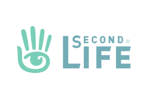 Analyst Report: Second Life