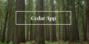 A3 Venture Pitch – Cedar App