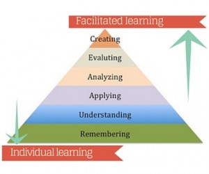 Facilitated Learning