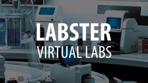 Virtual Laboratories