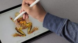 Froggipedia: dissect an AR frog on your iPad