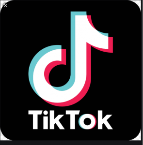 Tiktok revolutionary or Social Media Trend?