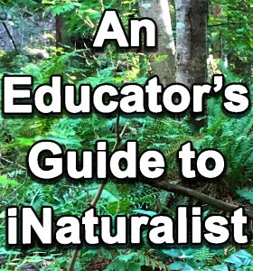 A1: An Educator’s Guide to iNaturalist