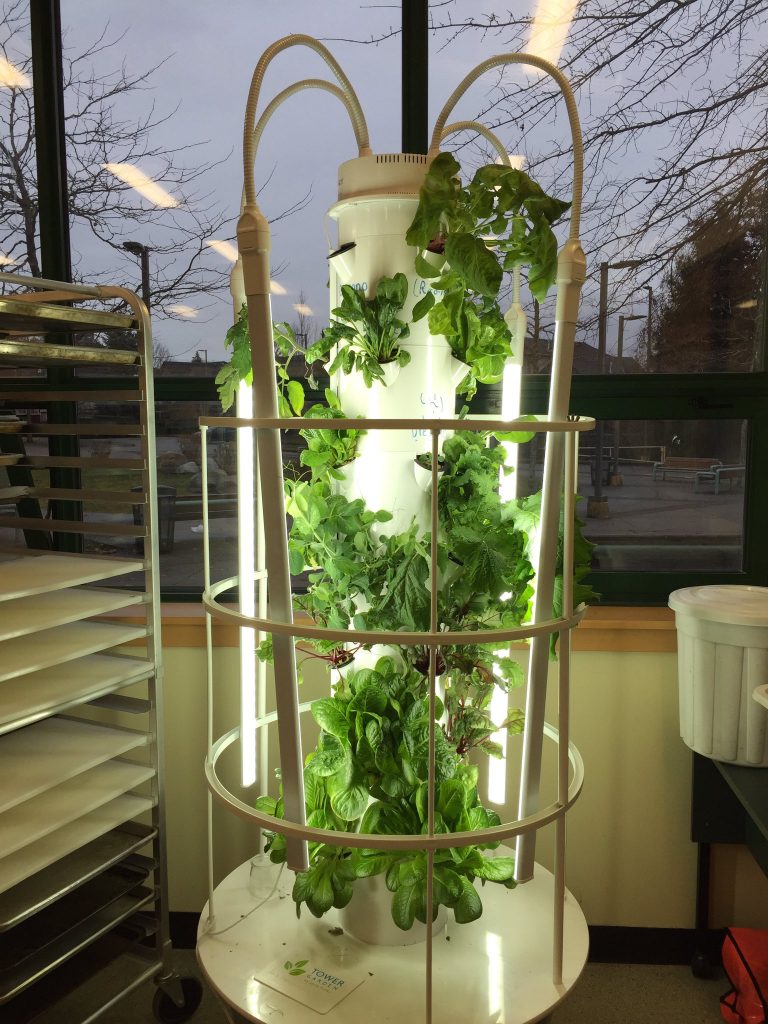 A3: Growing Experience with AR Gardening | ETEC523: Mobile and Open ...