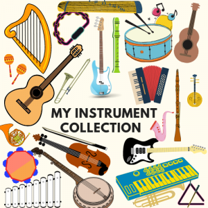 A3: My Instrument Collection