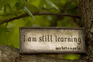 Image from: http://www.flickr.com/photos/anned/8700093610/
