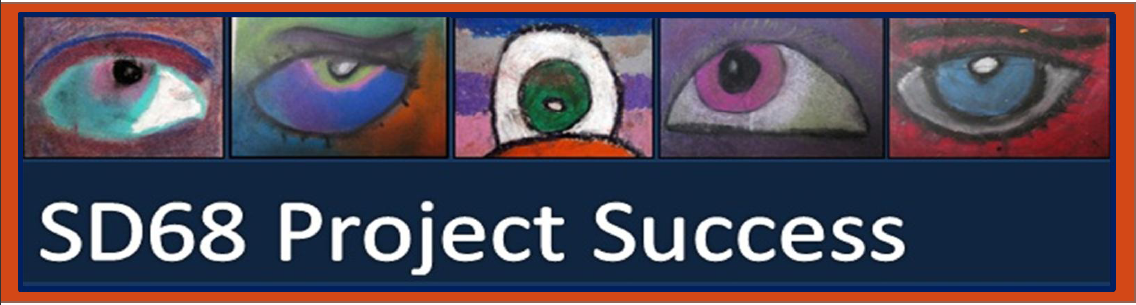 Primary Project 1