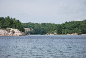 DSC_0536