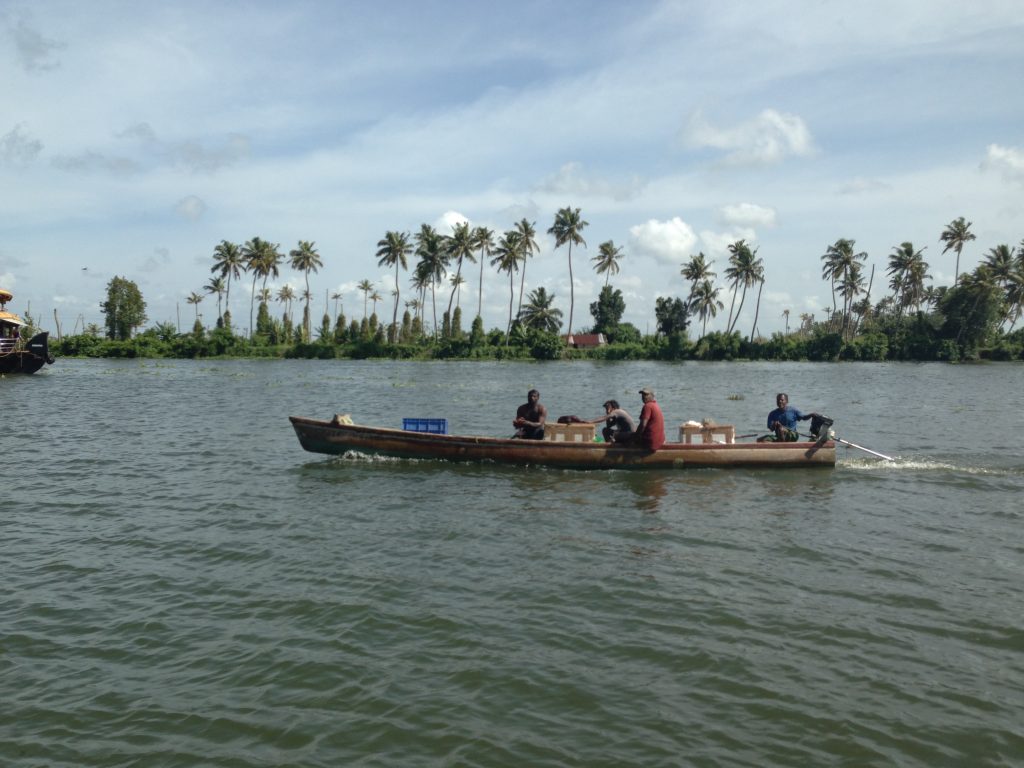 Boating along Kerala's backwaters.