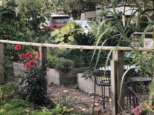 =the fence of a garden looking over a carpark