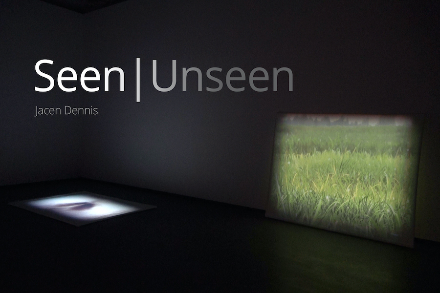 Seen | Unseen by Jacen Dennis – FCCS ART