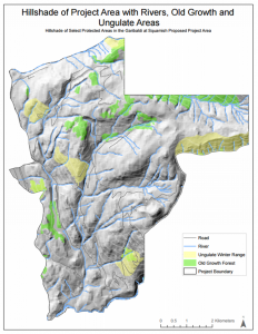 Hill shade map of the Old Growth Management Areas and Winter Ungulate Ranges within the proposed Garibaldi at Squamish project area