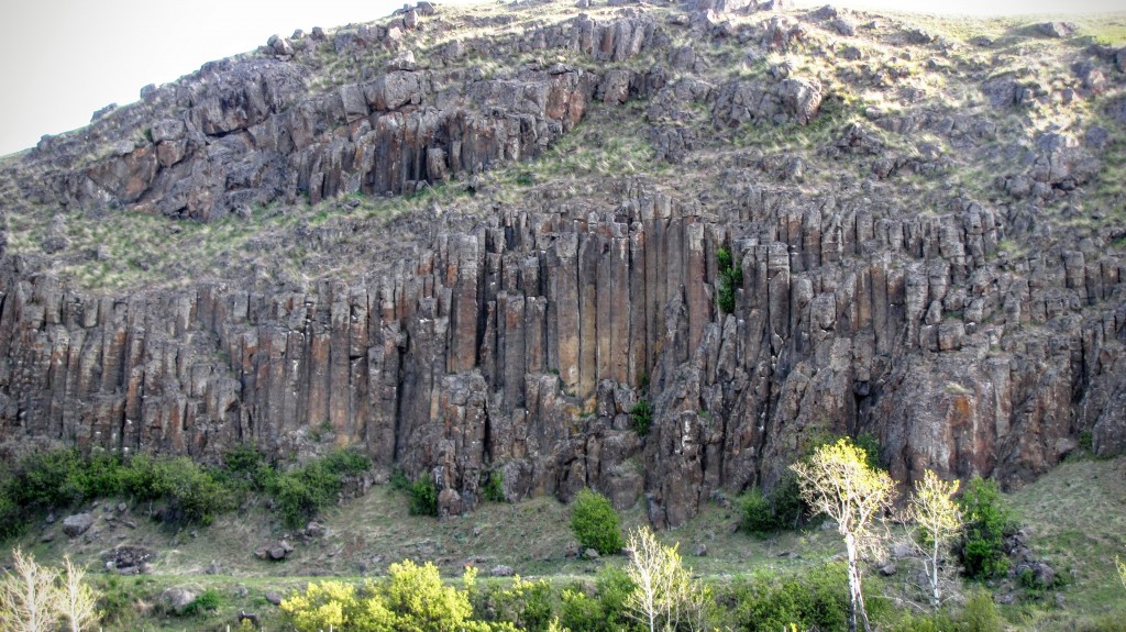 Driving North to Quesnel you will see lovely examples of columar basalt along the highway.