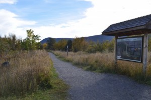 A walking path in Scout Island Nature Center
