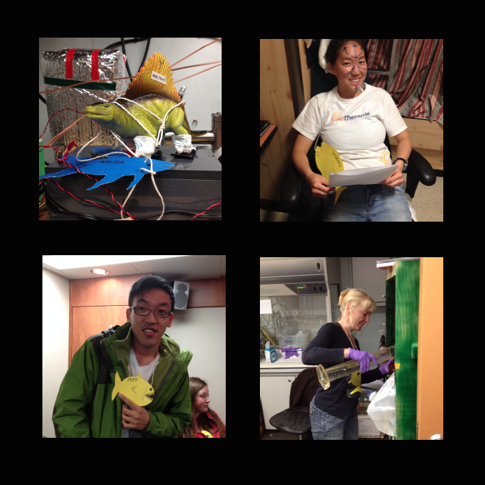 Scientists and crew sporting their fishy companions and (quickly) flashing their egg companions.