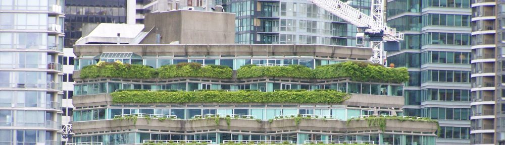Interactive Learning Resource about Green Roof Designs