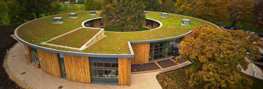 Interactive Learning Resource about Green Roof Designs