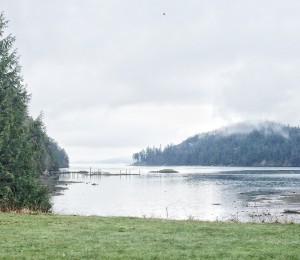 View of the Ocean Standing on Gambier Island