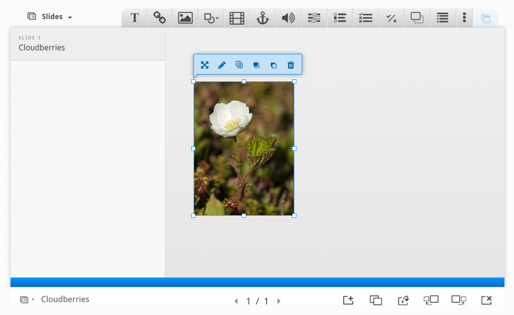 Slide 1 - Cloudberries with picture of a cloudberry flower