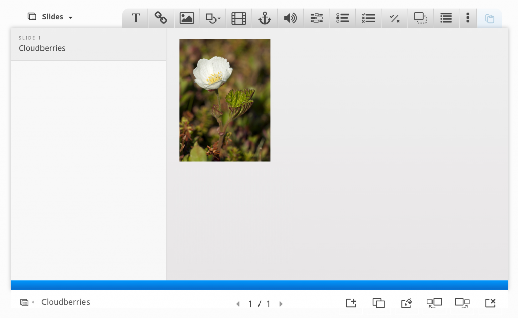 Resized and repositioned cloudberry flower photo placed in the top left corner of Slide 1