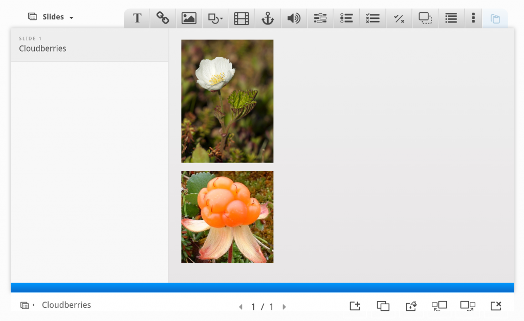 Slide 1 - Cloudberries with photos of the cloudberry flower and cloudberry