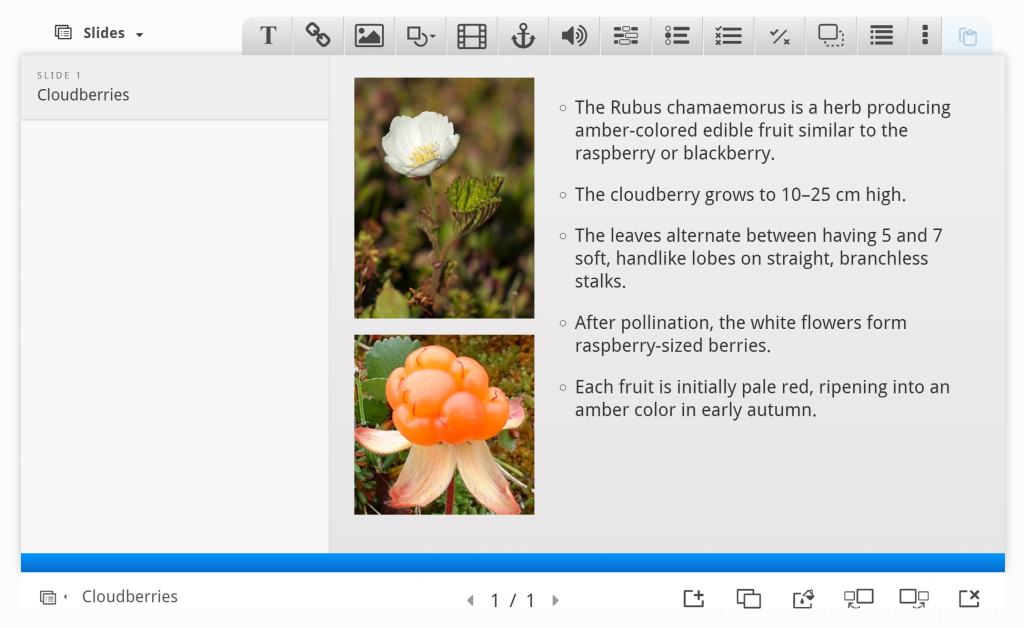 Completed slide 1 with cloudberry flower image, cloudberry image and accompanying text