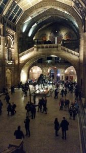 Natural History Museum - interior