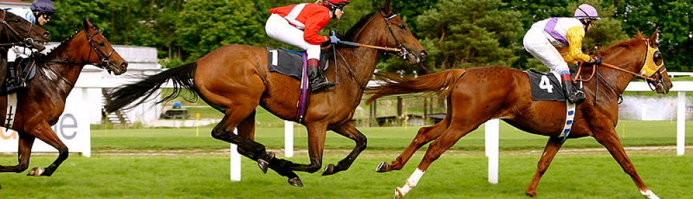 Pain vs. Performance: Horse Doping and Animal Welfare