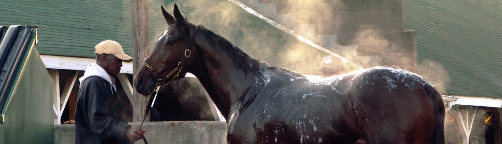 Pain vs. Performance: Horse Doping and Animal Welfare