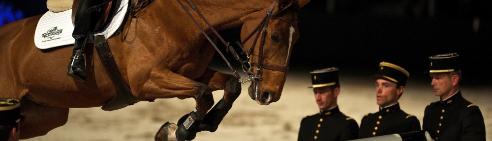 Pain vs. Performance: Horse Doping and Animal Welfare