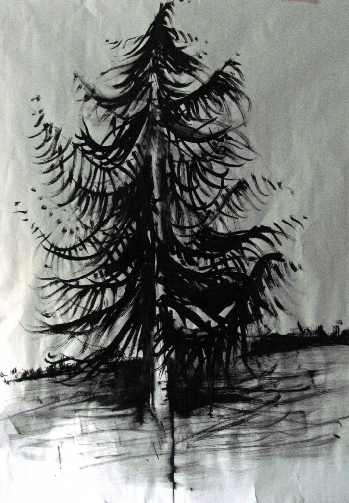 cedar, ink on paper