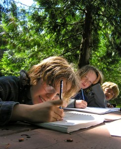 sketching outdoors grade 2/3 students