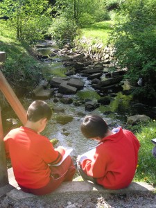 sketching outdoors, grade 4/5