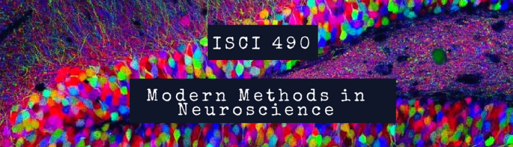 ISCI 490: Modern Methods in Neuroscience Seminar