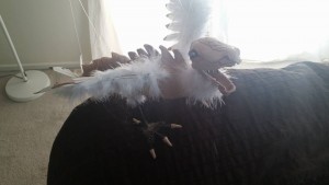 draggy2
