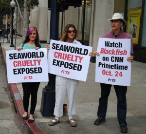 People Protesting Seaworld's Animal Cruelty