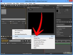 Importing Files